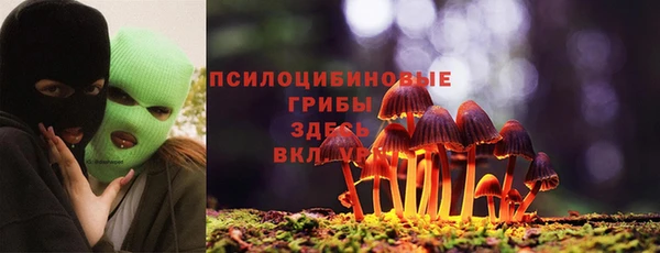 спиды Нея