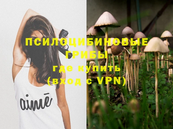 спиды Нея