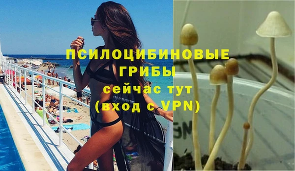 шишки Нефтегорск