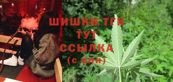 шишки Нефтегорск