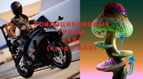 спиды Нея
