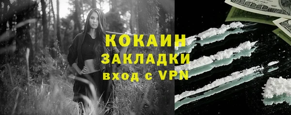 шишки Нефтегорск