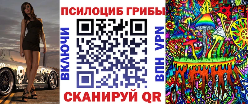 Псилоцибиновые грибы Psilocybe  Углегорск 